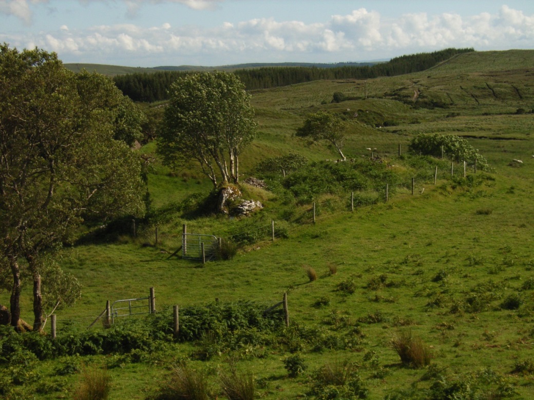 overview of graveyard